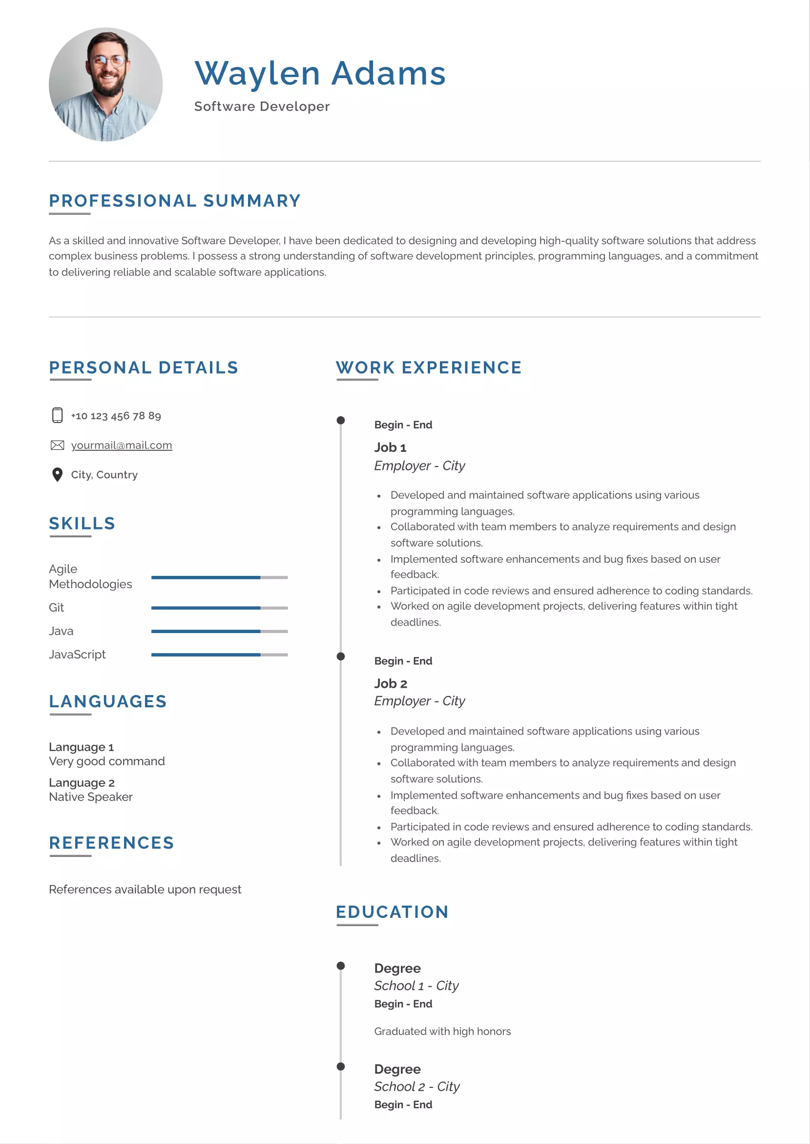 Software developer resume CV